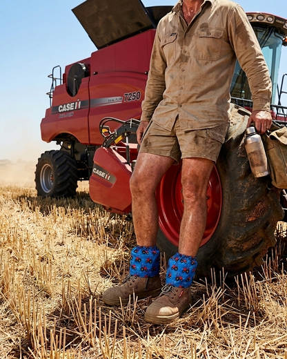 Man standing on a red Case IH combine harvester in a field