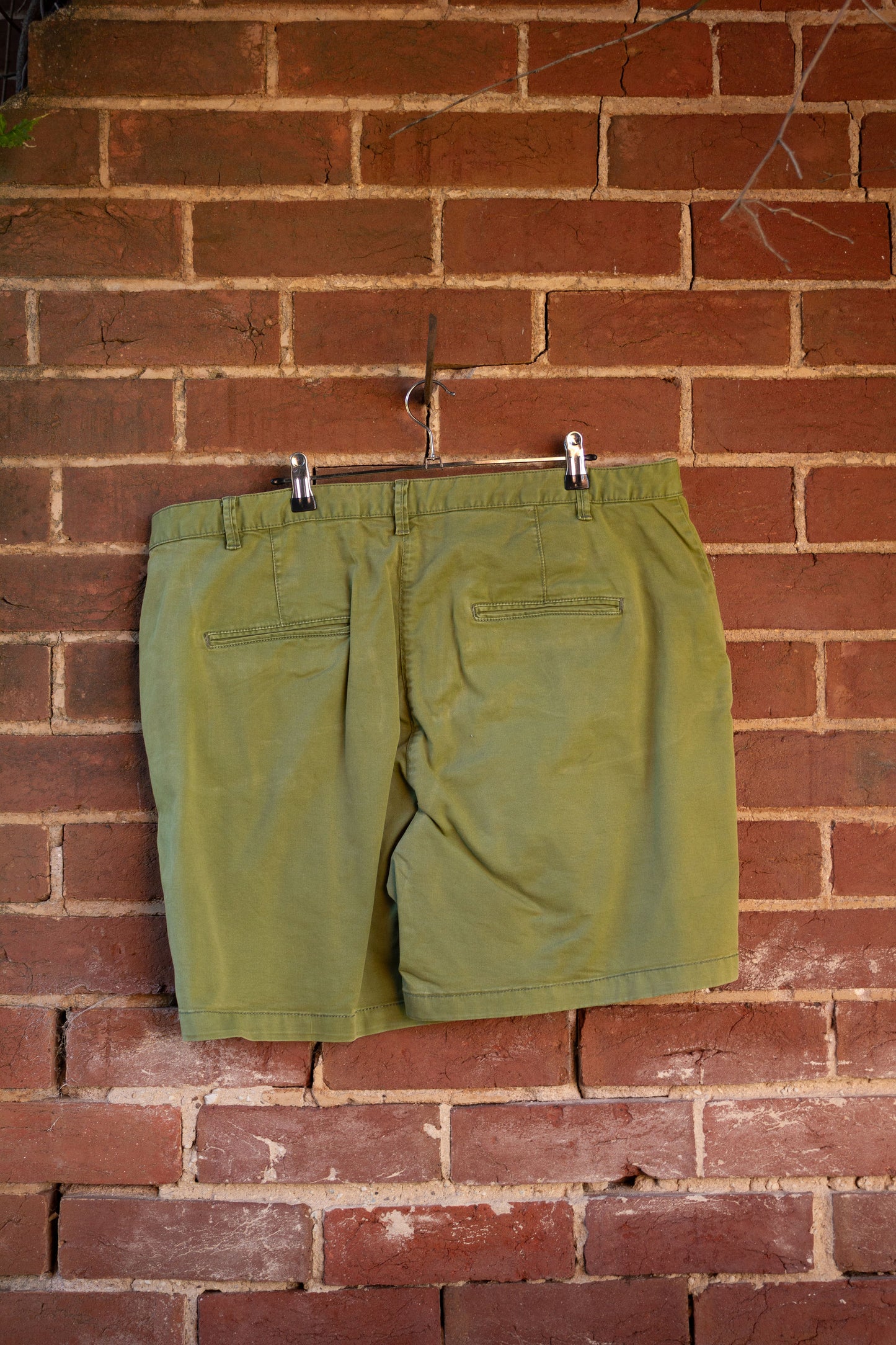 RB Sellars Imogen Shorts - Ladies 20